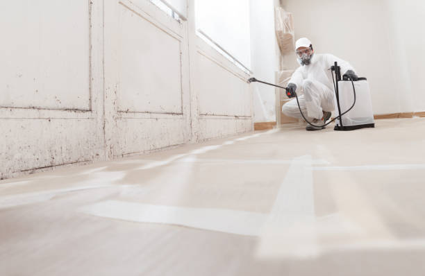 24/7 Emergency Basement Mold Removal experts in Marlton, NJ