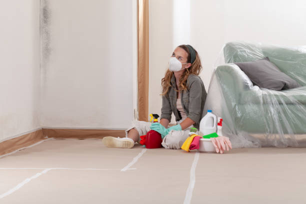 Reliable Basement Mold Removal contractor in Marlton, NJ by WQB Mold Removal